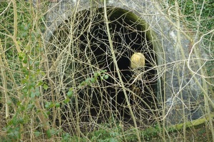 Tynygraig Tunnel